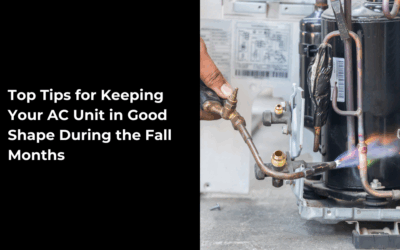 Top Tips for Keeping Your AC Unit in Good Shape During the Fall Months