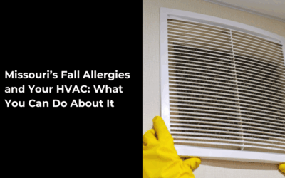 Missouri’s Fall Allergies and Your HVAC: What You Can Do About It